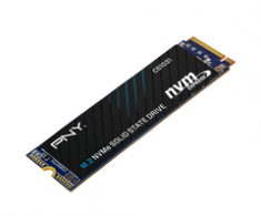 SSD PNY CS1031 M.2 PCIe Gen3 x4 NVMe 256GB test
